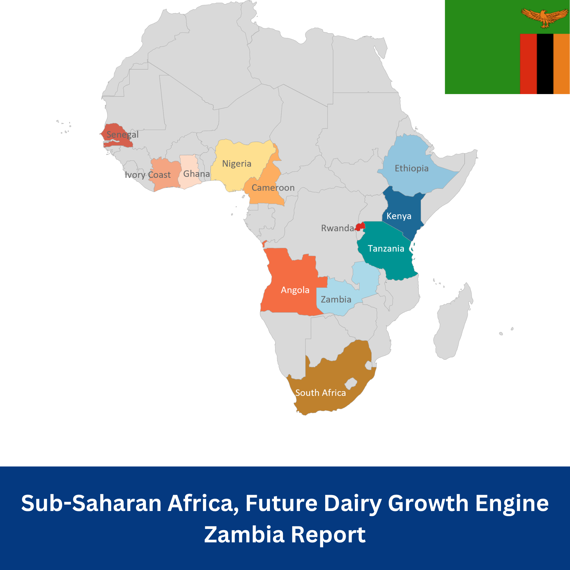 Sub-Saharan Africa Zambia report, Future Dairy Growth Engine